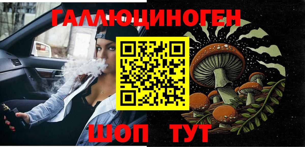 Галлюциногенные грибы Psilocybine cubensis  Вход с VPN  Шебекино 