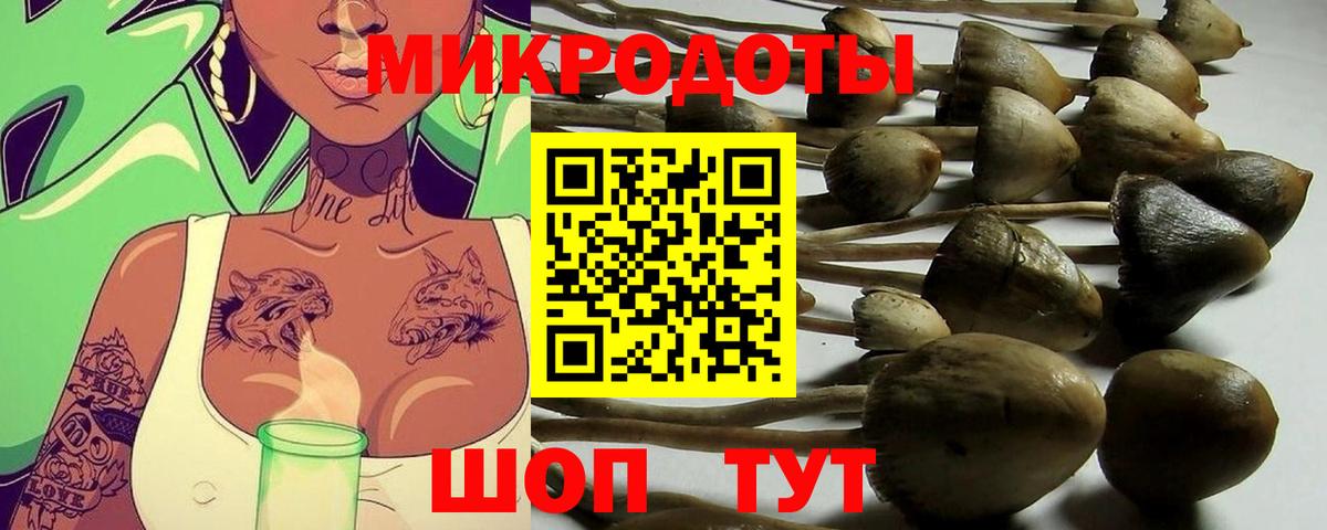Галлюциногенные грибы Cubensis Шебекино